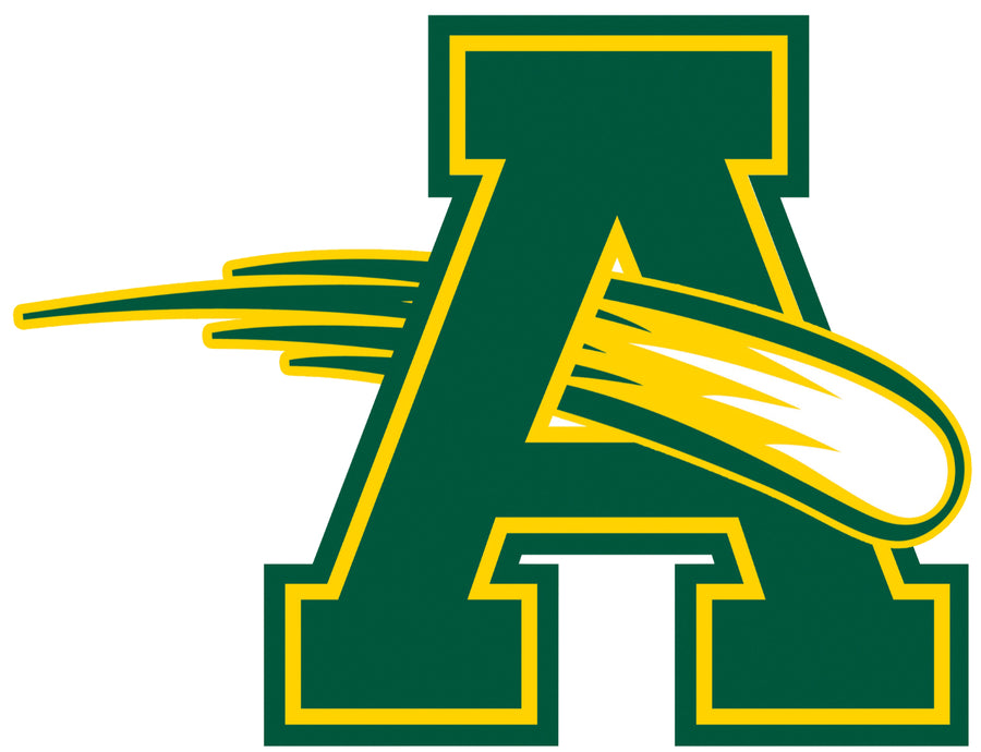 Amherst Comets